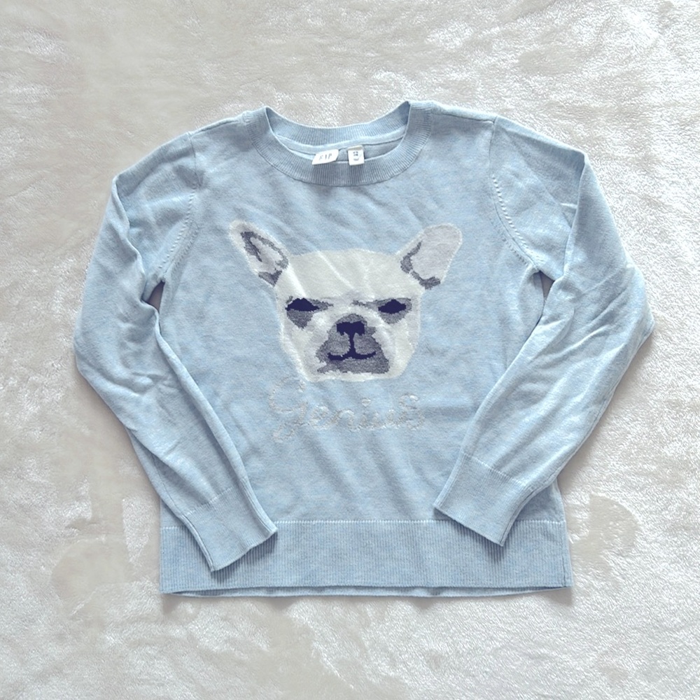 Gap Frenchie Pale Blue Sweater Size XL